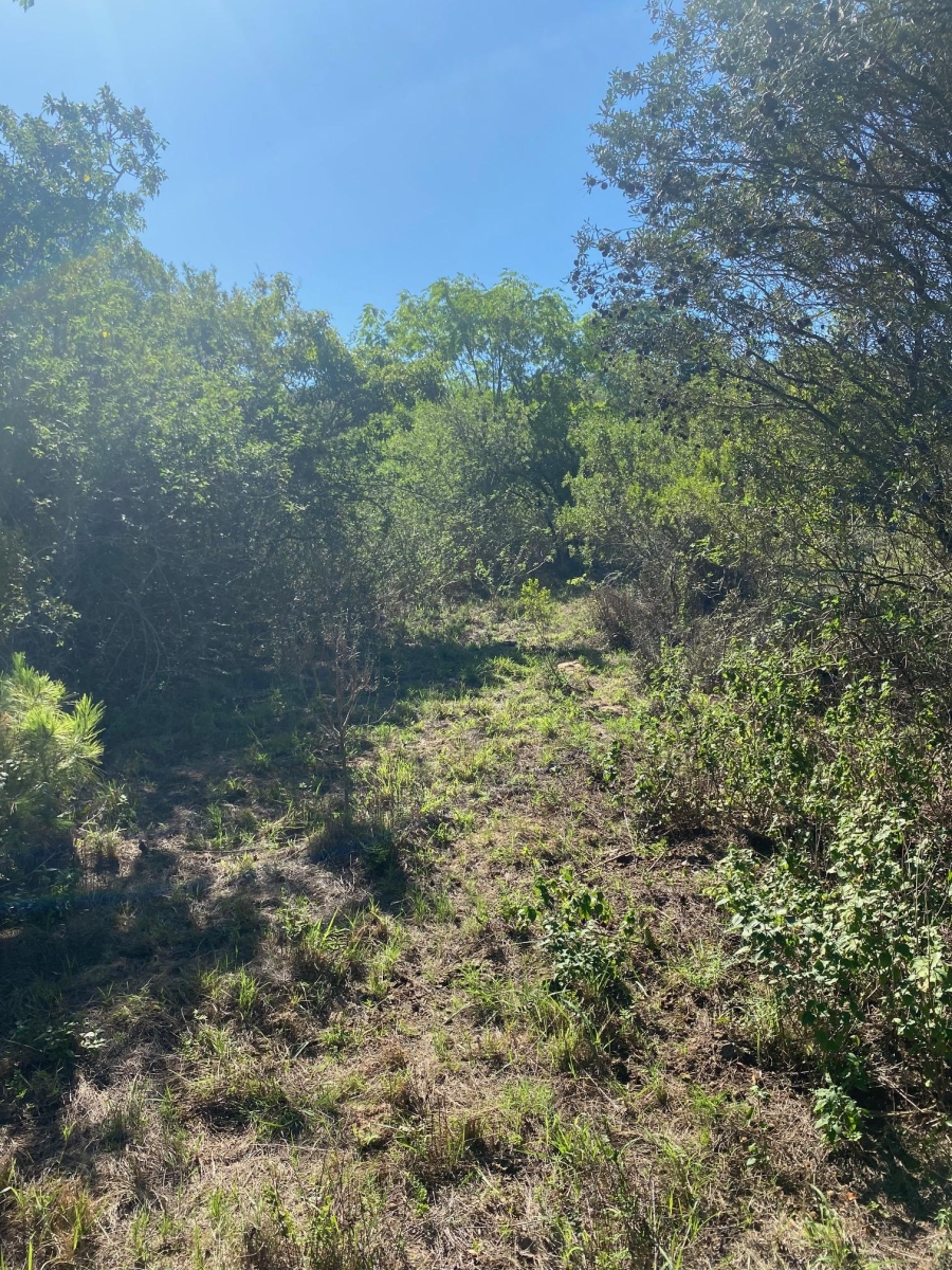 0 Bedroom Property for Sale in Bathurst Eastern Cape